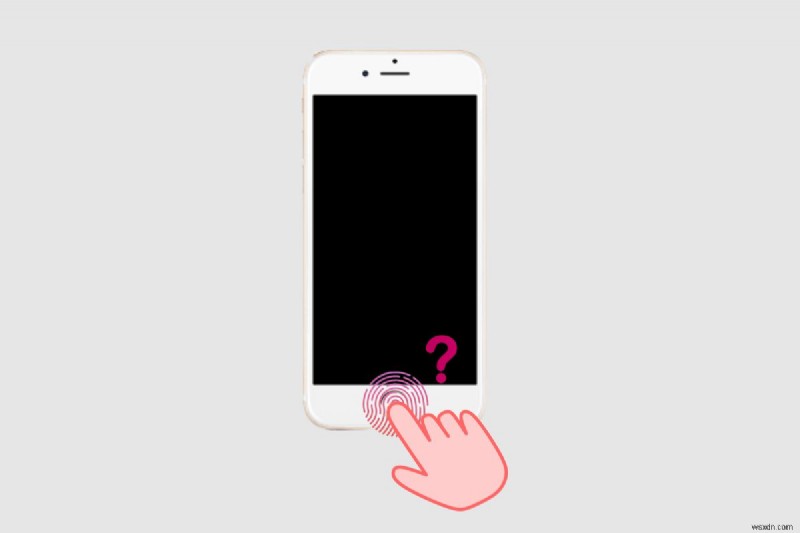 iPhone 11 এবং টাচ আইডি:ফিঙ্গারপ্রিন্ট আনলকিং সম্পর্কে আপনার যা জানা দরকার 