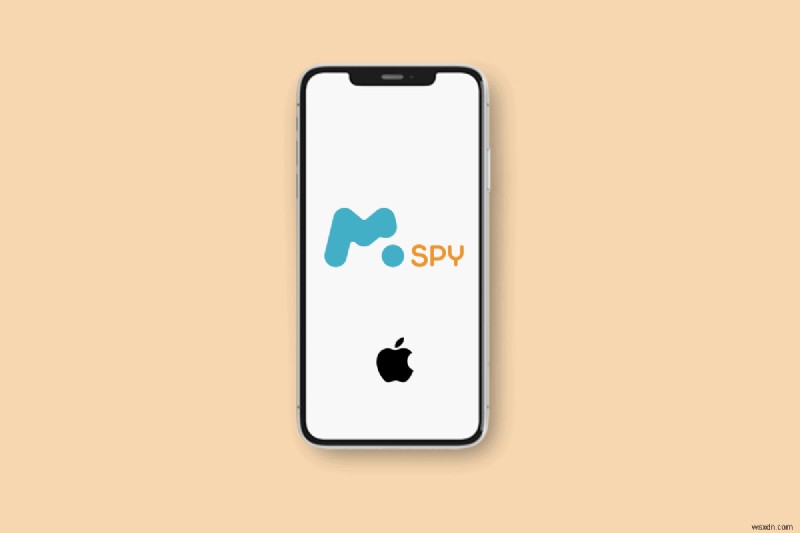 আইফোনে mSpy:এটি কীভাবে কাজ করে, বৈশিষ্ট্য এবং সনাক্তকরণের ঝুঁকি 