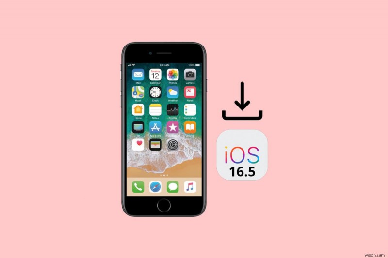 কীভাবে নিরাপদে আপনার আইফোনে iOS 16.5 বিটা ডাউনলোড এবং ইনস্টল করবেন 