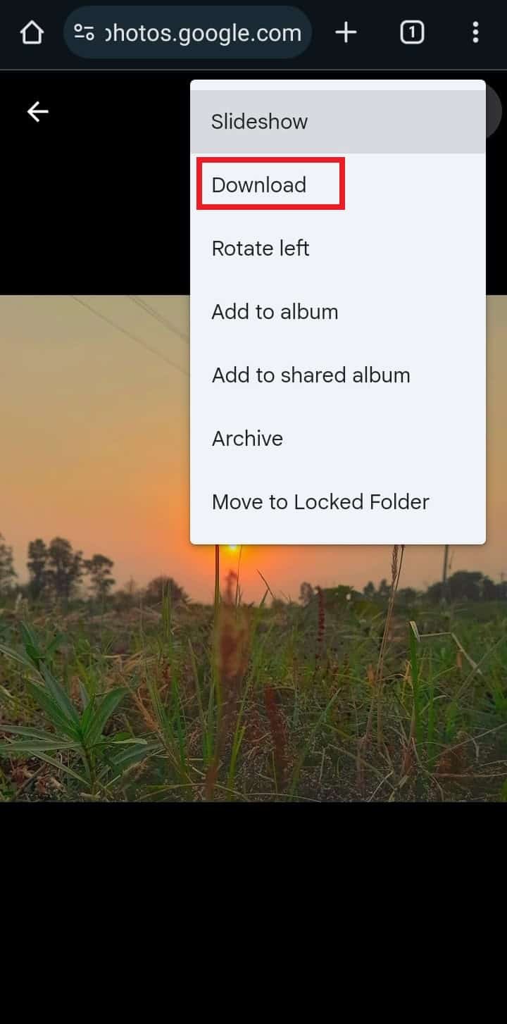 দ্রুত নির্দেশিকা:Google ফটোতে আপনার ব্যাকআপ ফটোগুলি অ্যাক্সেস করুন৷ 