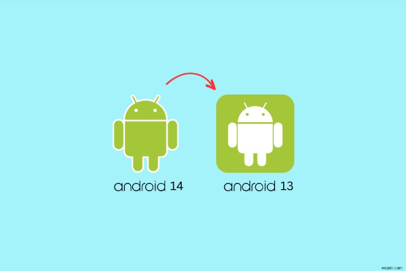 Android 14 থেকে Android 13 নিরাপদে ডাউনগ্রেড করার জন্য ধাপে ধাপে নির্দেশিকা 