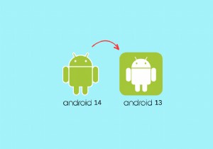 Android 14 থেকে Android 13 নিরাপদে ডাউনগ্রেড করার জন্য ধাপে ধাপে নির্দেশিকা 