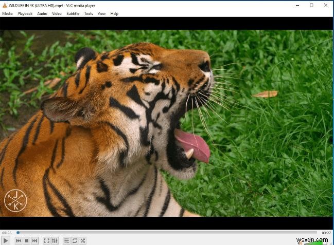 2023 সালে Chromebook-এর জন্য শীর্ষ 5 ভিডিও প্লেয়ার - স্ট্রিম, সাবটাইটেল এবং ফর্ম্যাট সমর্থন 